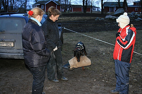 Training in Estonia 3/2007